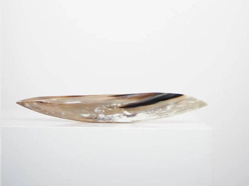 Elongated Ankole Cow Horn Oval Tray -Light
