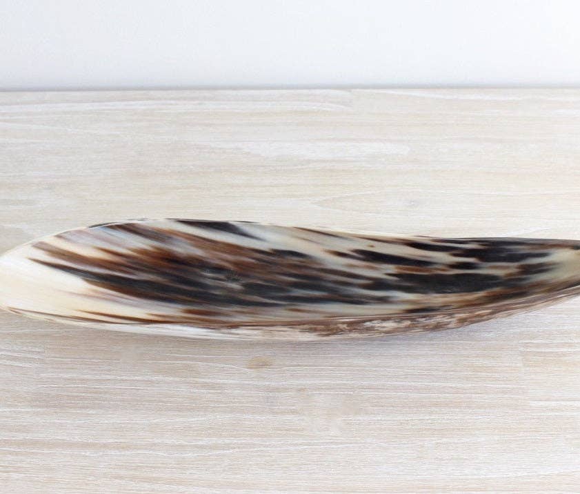 Elongated Ankole Cow Horn Oval Tray -Light